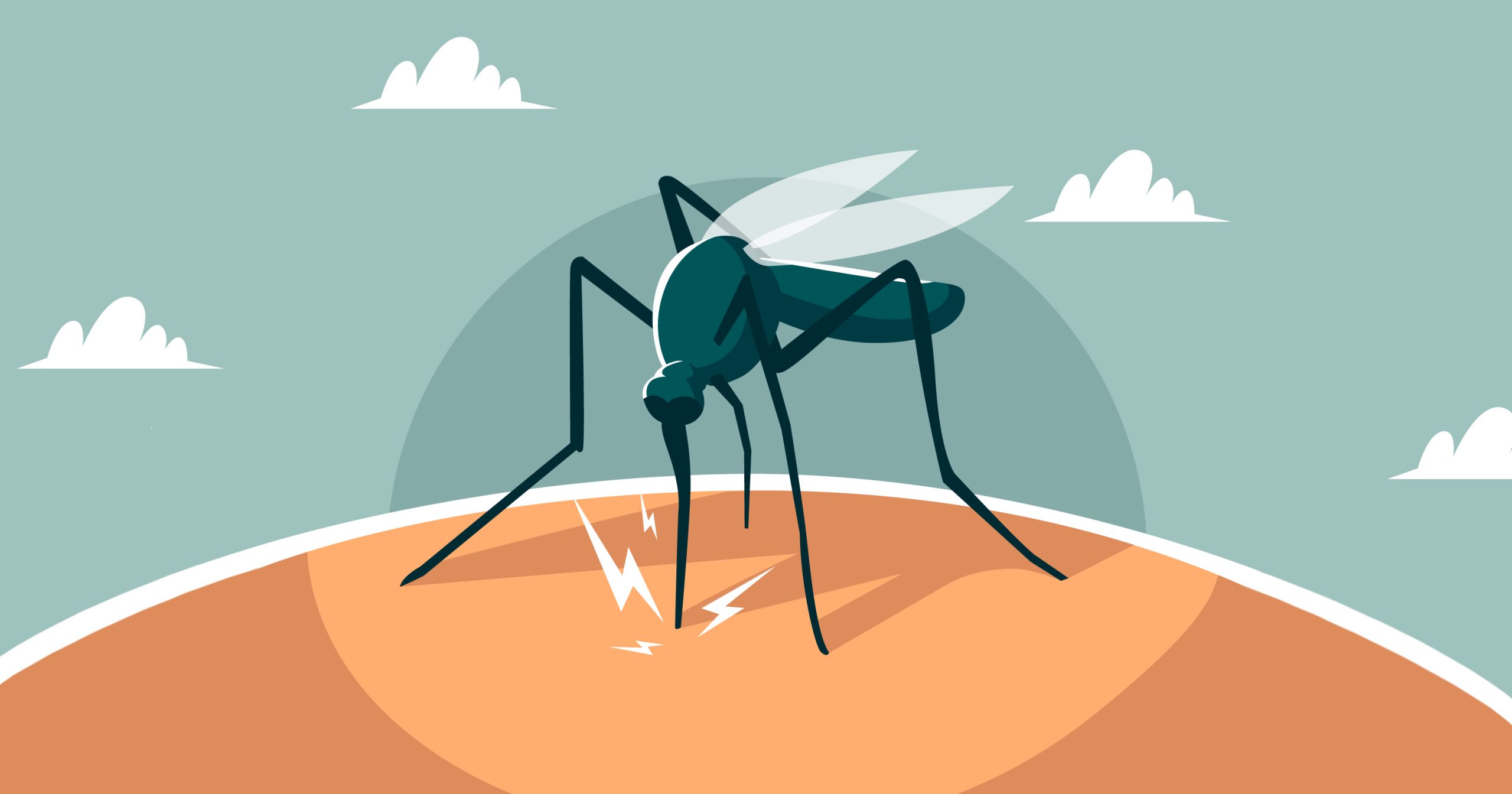 West Nile Virus – Qualche precisazione…